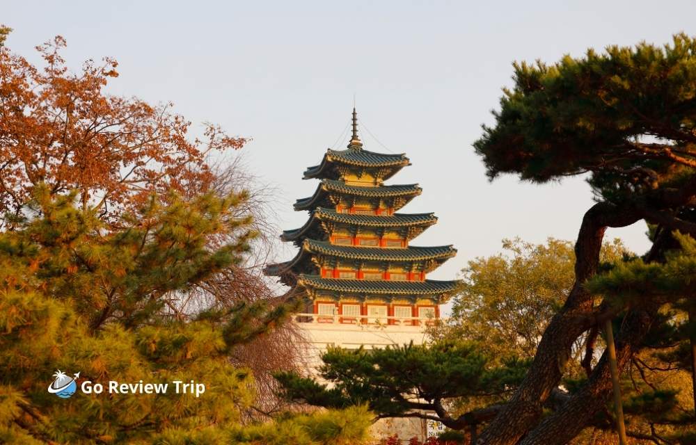 Fueling Your Adventure The Delicious Cost of Korean Food