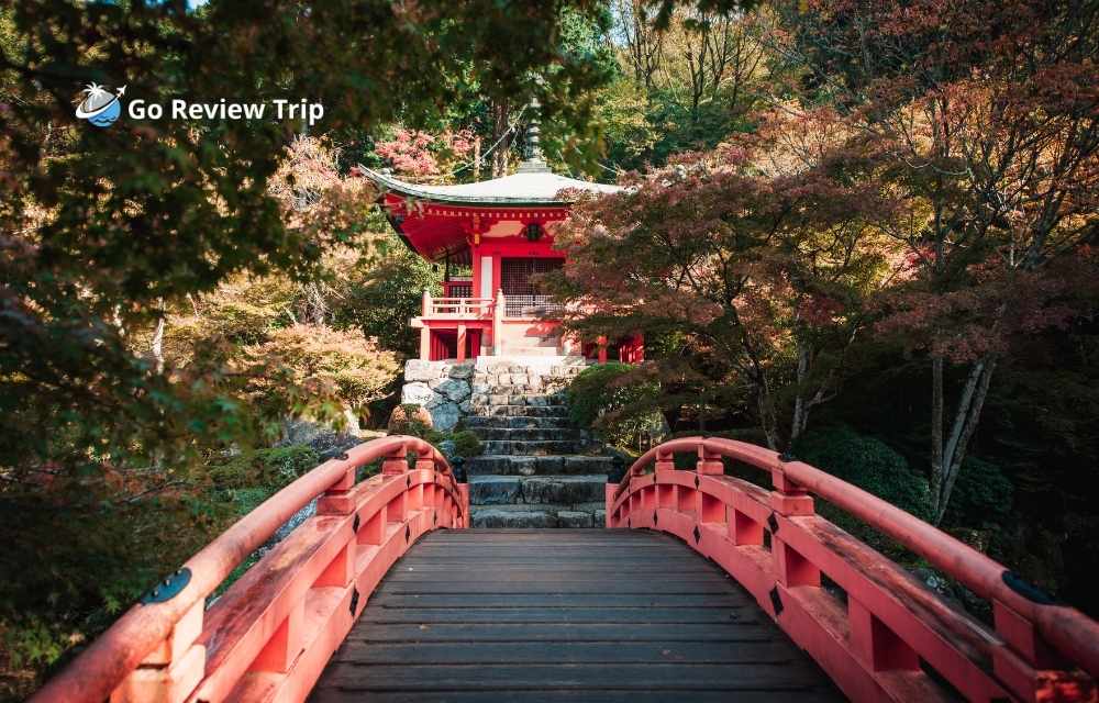 Can You Travel to Japan with a DUI? An In-Depth Guide