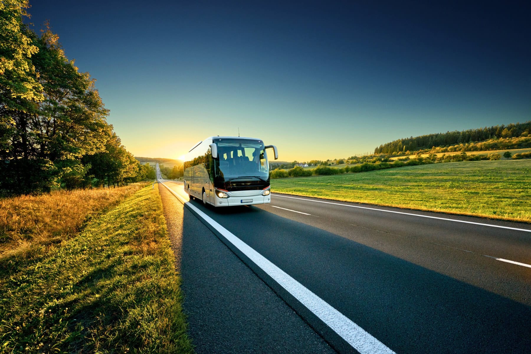 Bus