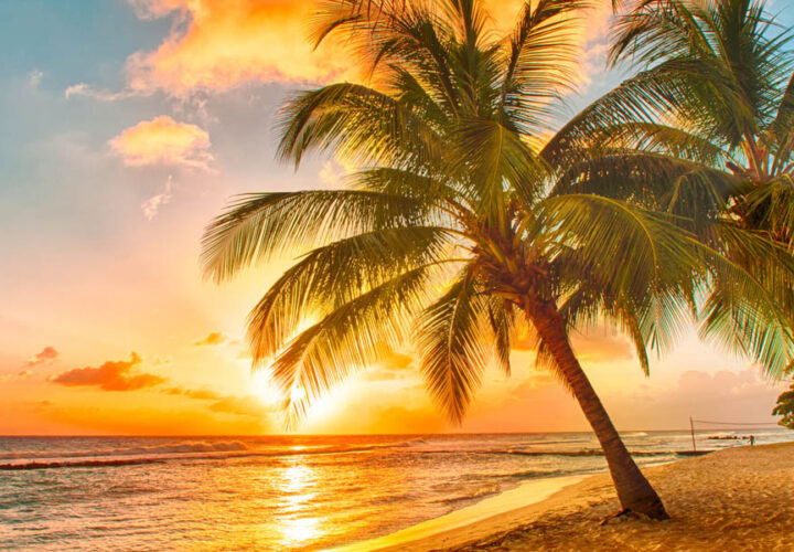 Caribbean Shore Excursions 2027
