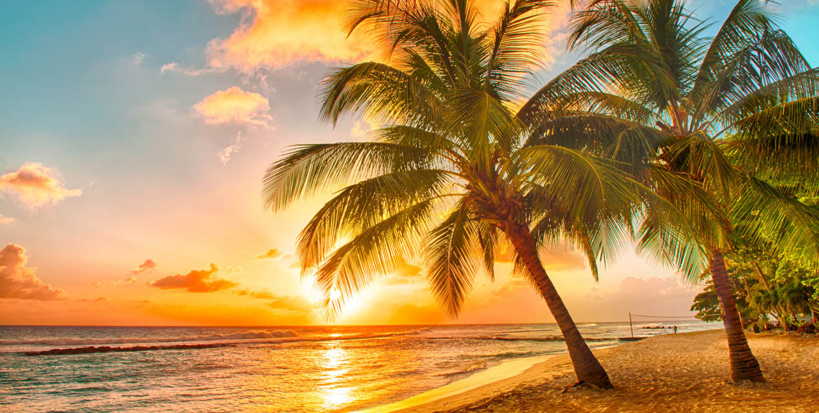 Caribbean Shore Excursions 2027