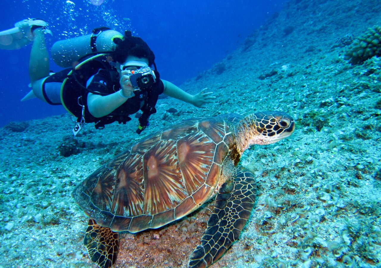 Caribbean Cruise