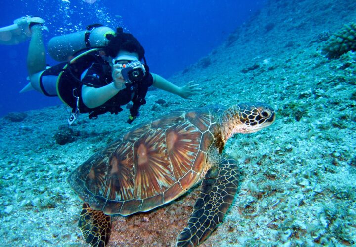 Caribbean Cruise
