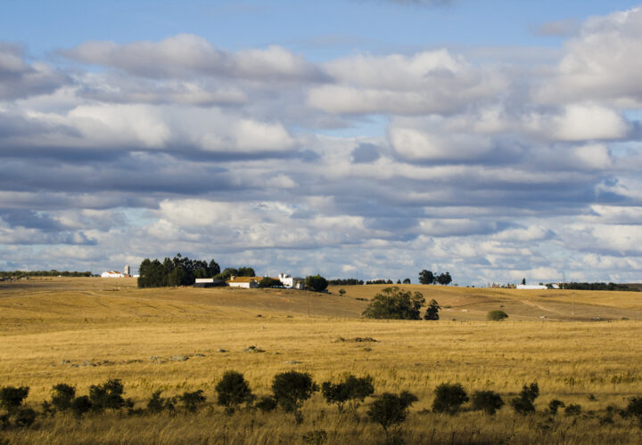 Alentejo Retreat BookRetreats.com: The World's #1 Retreat Site