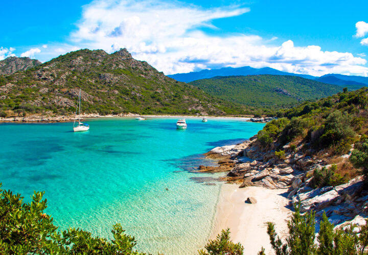 Corsica Ferry Direct ferries