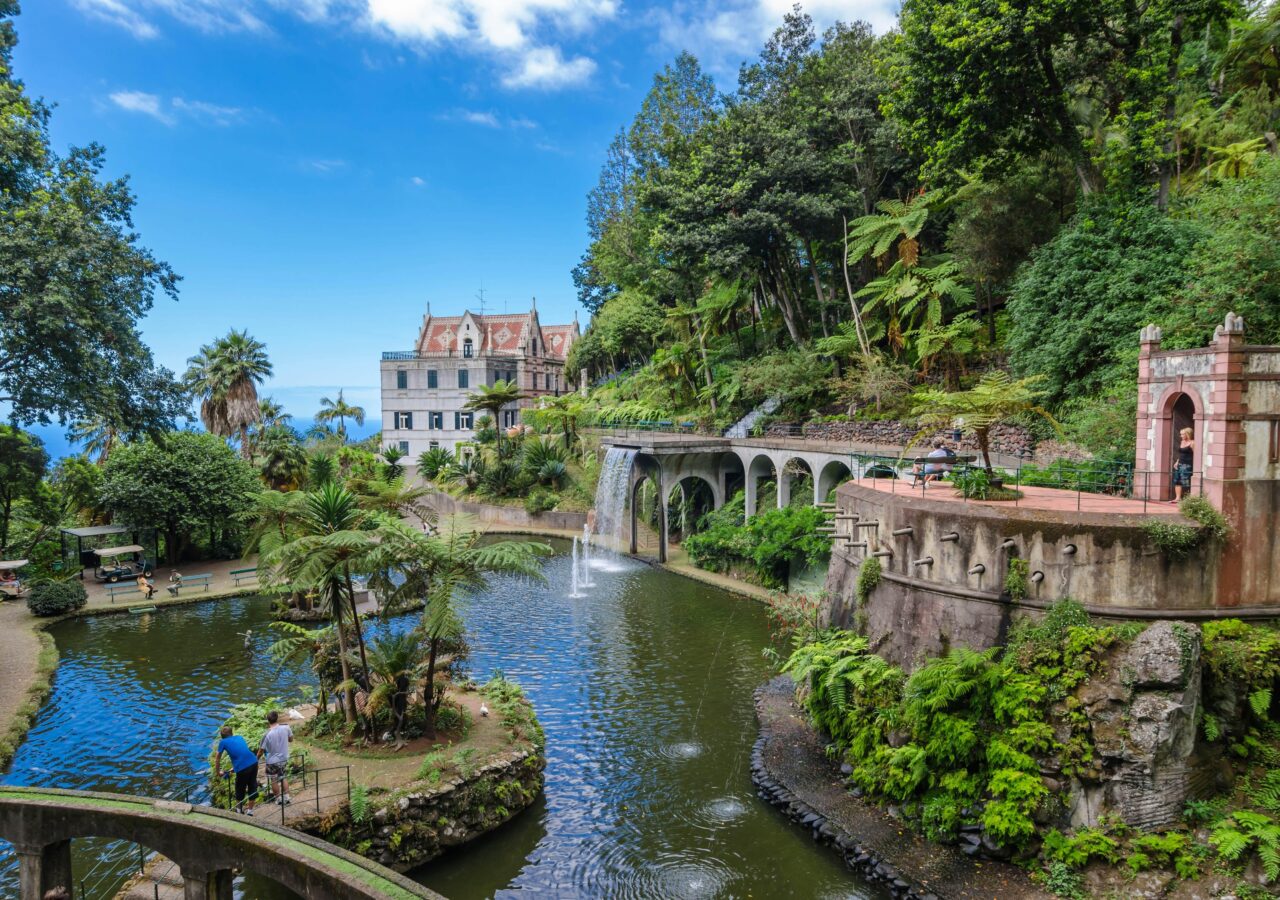 Madeira Yoga Retreat Book Retreats